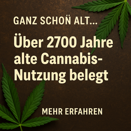Cannabis im Spiegel der Zeit – Die älteste Nutzung der Heilpflanze vor über 3000 Jahren