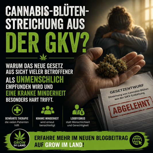 Kahlschlag auf dem Rücken der Schwächsten: Warum die Cannabis-Streichung reine Unmenschlichkeit ist