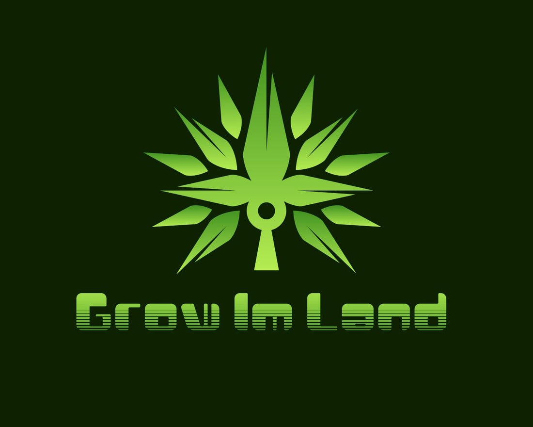 Politische Entwicklung des Cannabis-Gesetzes in Deutschland – Stand & Ausblick