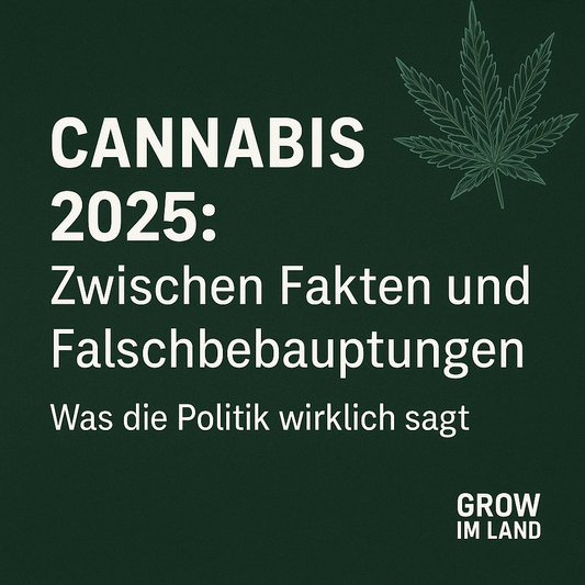 Cannabis 2025 – Zwischen Fakten und Falschbehauptungen: Was die Politik wirklich sagt